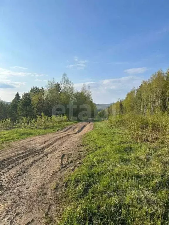 Участок в Свердловская область, Кировградский муниципальный округ, ... - Фото 2