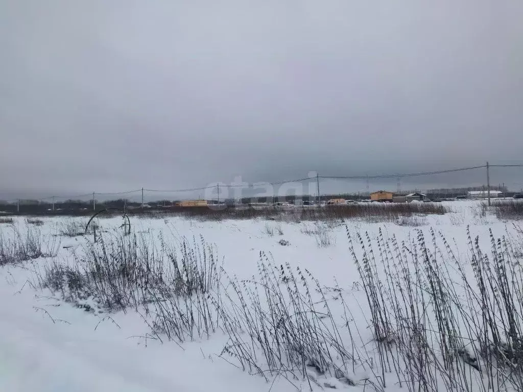 Участок в Архангельская область, Архангельск Талажское ш. (10.8 сот.) - Фото 2