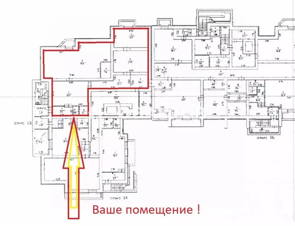 Помещение свободного назначения в Новосибирская область, Новосибирск ... - Фото 0