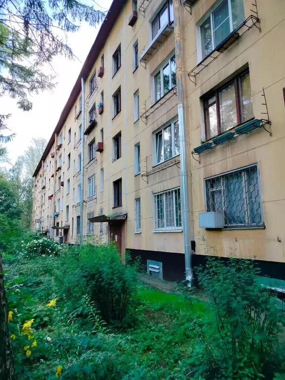 4-комнатная квартира: Санкт-Петербург, проспект Народного Ополчения, ... - Фото 0