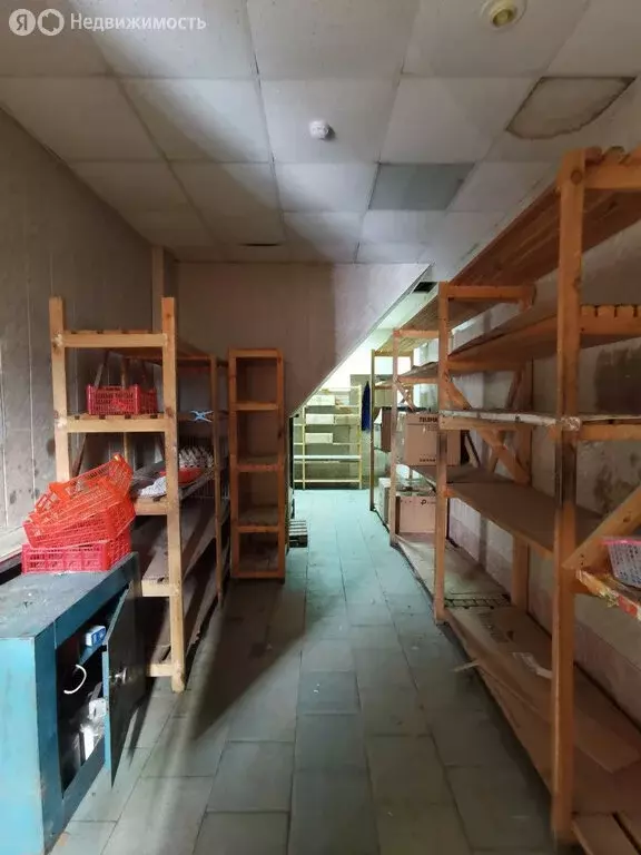 Помещение свободного назначения (310 м) - Фото 1