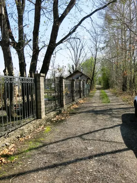 Участок в Еврейская автономная область, Смидовичский район, Дубки СНТ  ... - Фото 0