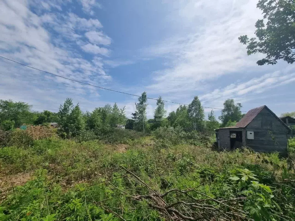 Участок в Хабаровский край, Хабаровский район, Судостроитель садовое ... - Фото 1