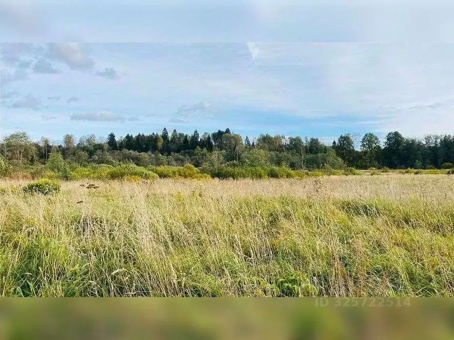 Участок в Московская область, Раменский муниципальный округ, д. ... - Фото 1