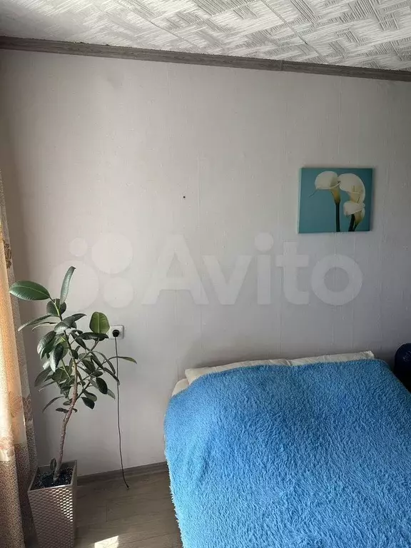 Комната 17 м в 4-к., 5/5 эт. - Фото 1