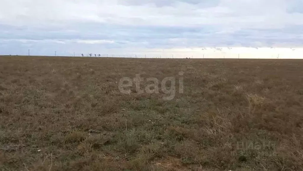 Участок в Крым, Сакский район, Штормовское с/пос, с. Поповка ул. ... - Фото 1