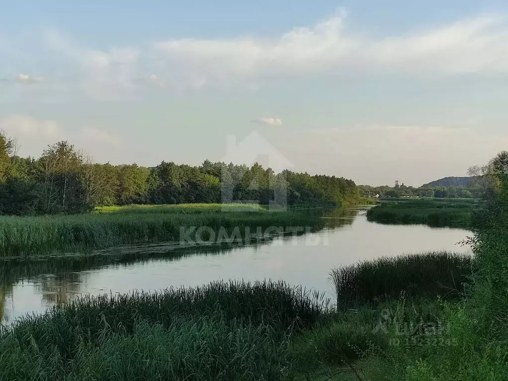 Участок в Воронежская область, Рамонь рп ул. Тутукова (12.0 сот.) - Фото 0