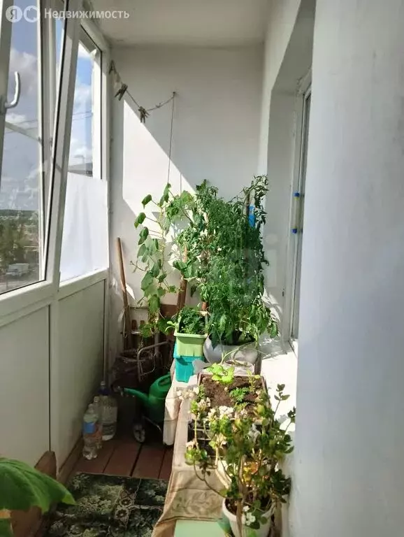 2-комнатная квартира: Можга, улица Дружбы, 21 (46.1 м) - Фото 0