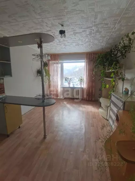 2-к кв. Сахалинская область, Южно-Сахалинск городской округ, с. ... - Фото 2