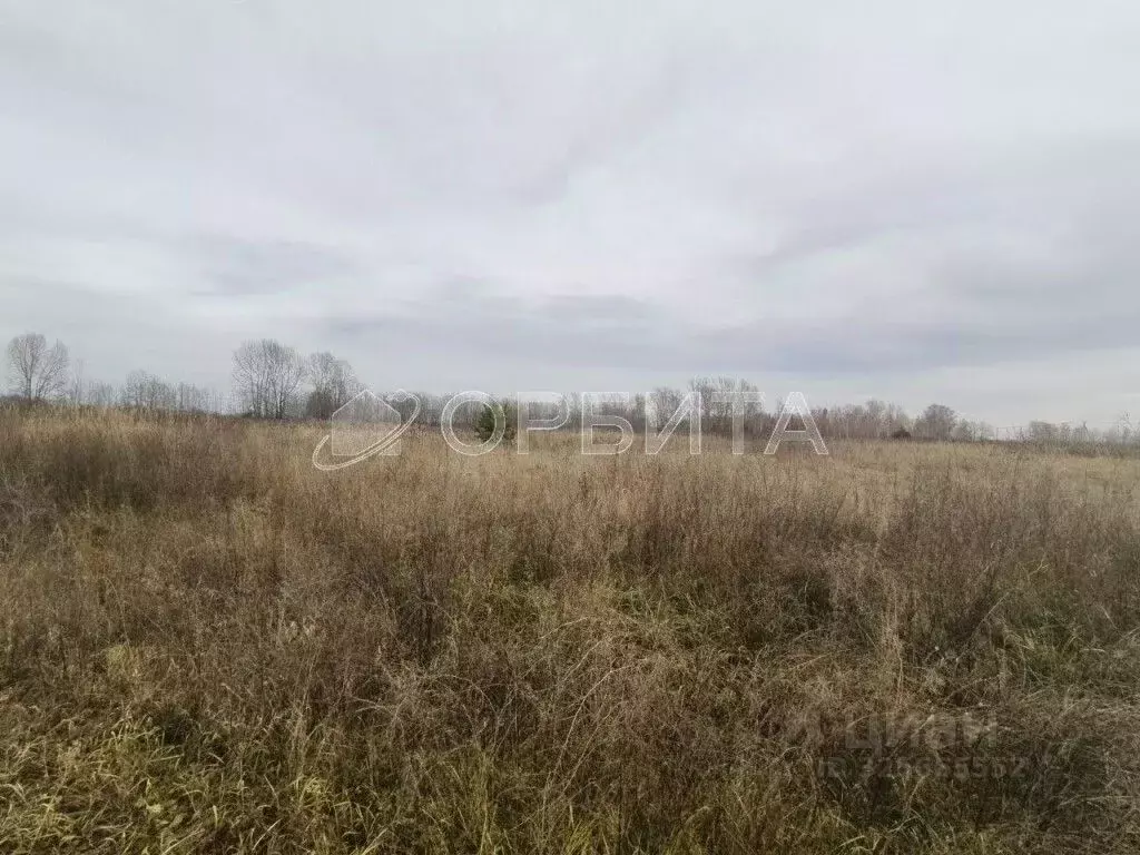 Участок в Тюменская область, Тюменский муниципальный округ, ... - Фото 0