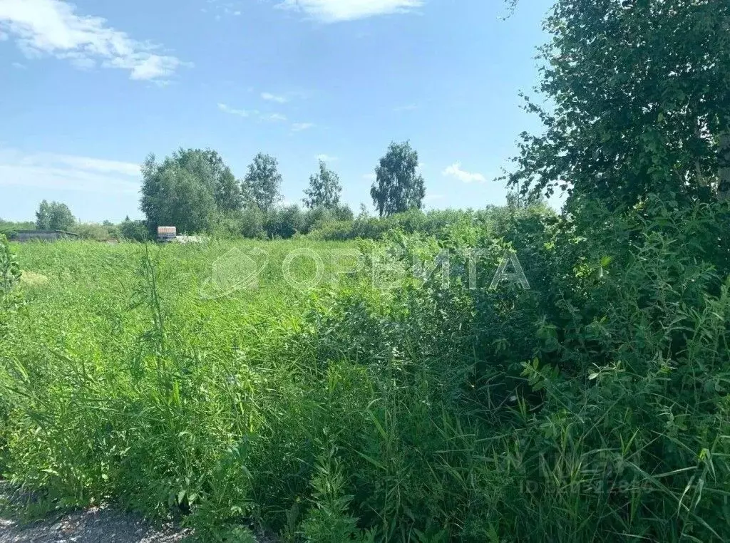 Участок в Тюменская область, Нижнетавдинский район, Строитель ТСН ул. ... - Фото 0