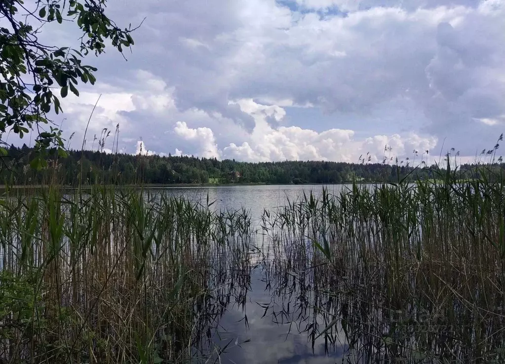 Дом в Ленинградская область, Выборгский район, Каменногорское ... - Фото 1
