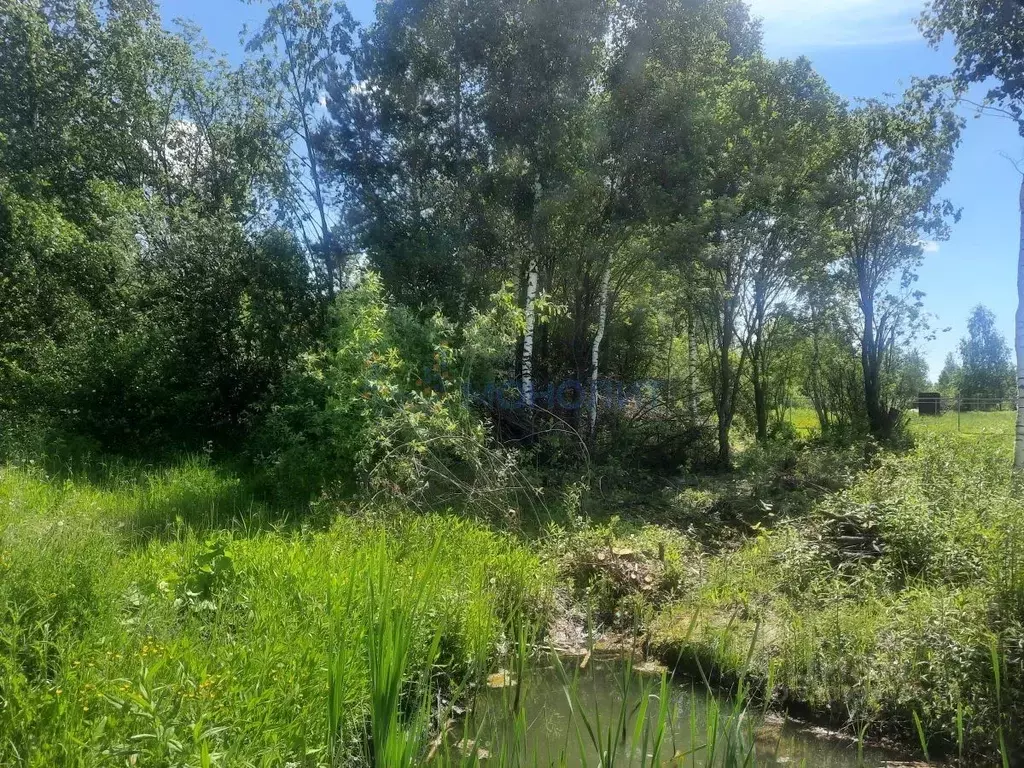 Участок в Нижегородская область, Богородский муниципальный округ, ... - Фото 2