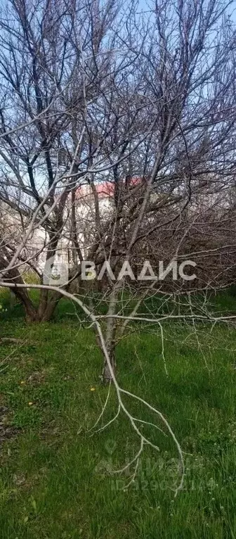 Участок в Крым, Симферопольский район, Молодежное пгт, Аграрник СНТ ... - Фото 2