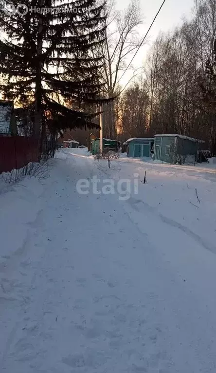 Участок в Новосибирск, СНТ Золотая Горка (8 м) - Фото 0