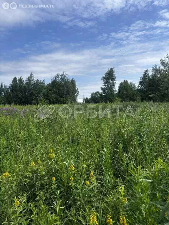 Участок в Тюменский район, село Чикча (7 м) - Фото 1