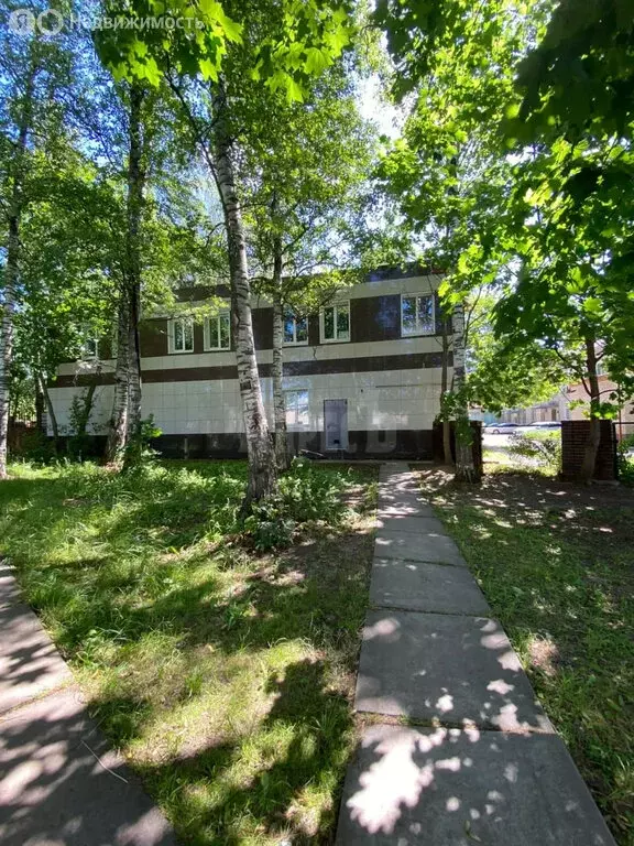 Помещение свободного назначения (241 м) - Фото 1