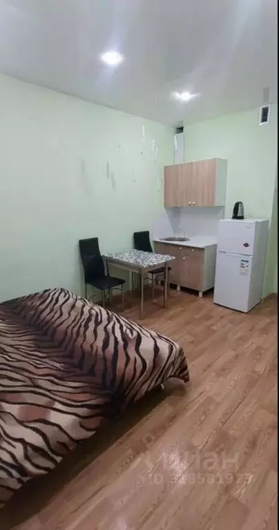 Студия Иркутская область, Иркутск пер. Археолога Михаила Герасимова, 8 ... - Фото 0