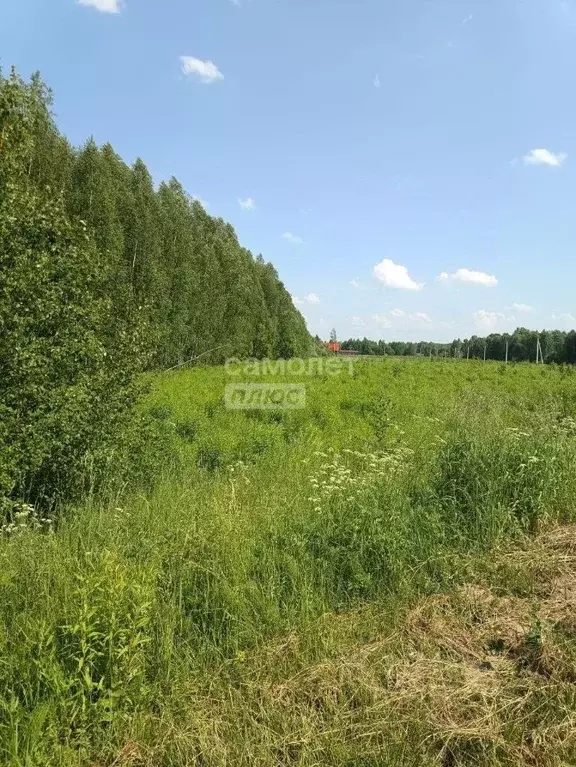 Участок в Нижегородская область, Бор муниципальный округ, д. ... - Фото 0