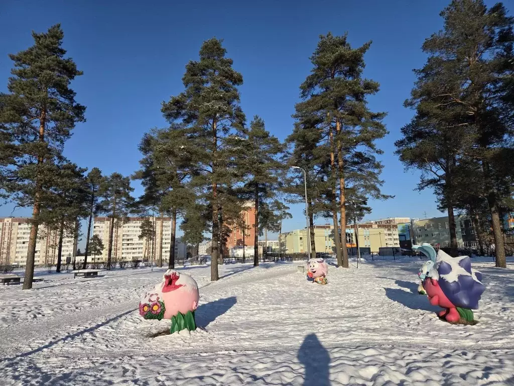 3-к кв. Ленинградская область, Сланцы Молодежный просп., 7 (68.9 м) - Фото 2