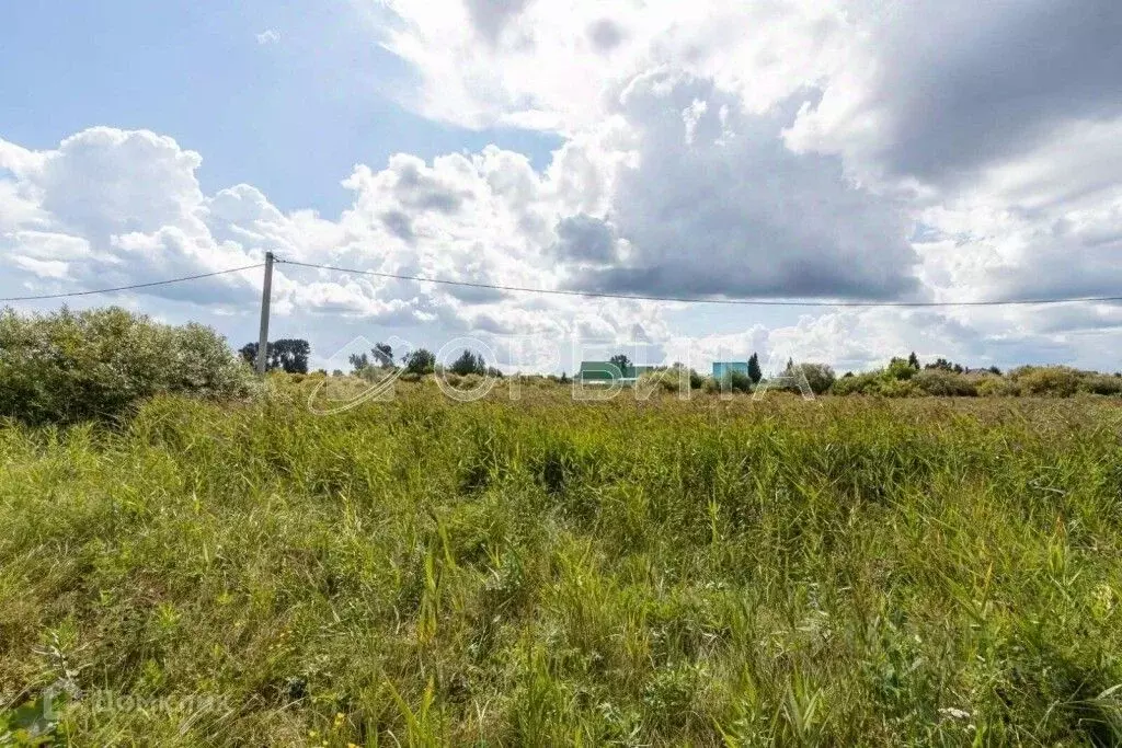 Участок в Тюменская область, Тюменский муниципальный округ, д. ... - Фото 2