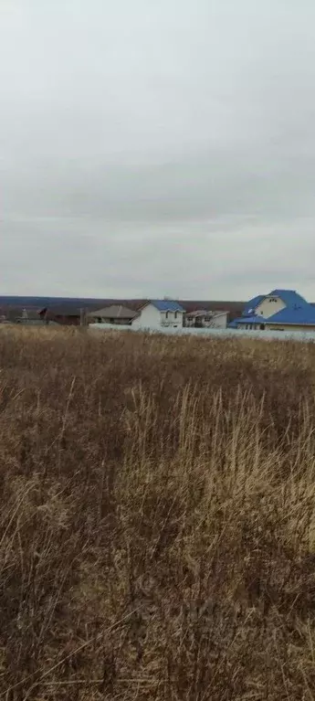 Участок в Московская область, Серпухов городской округ, д. Тульчино  ... - Фото 0