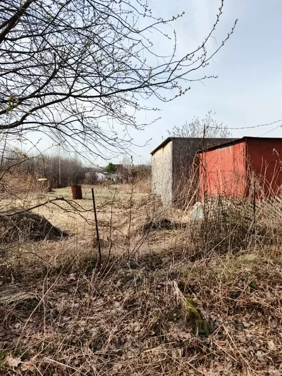 Участок в Челябинская область, Аргаяшский муниципальный округ, ... - Фото 2