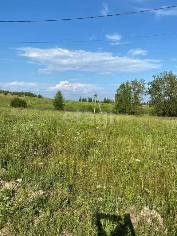 Участок в Нижегородская область, Кстовский муниципальный округ, д. ... - Фото 1