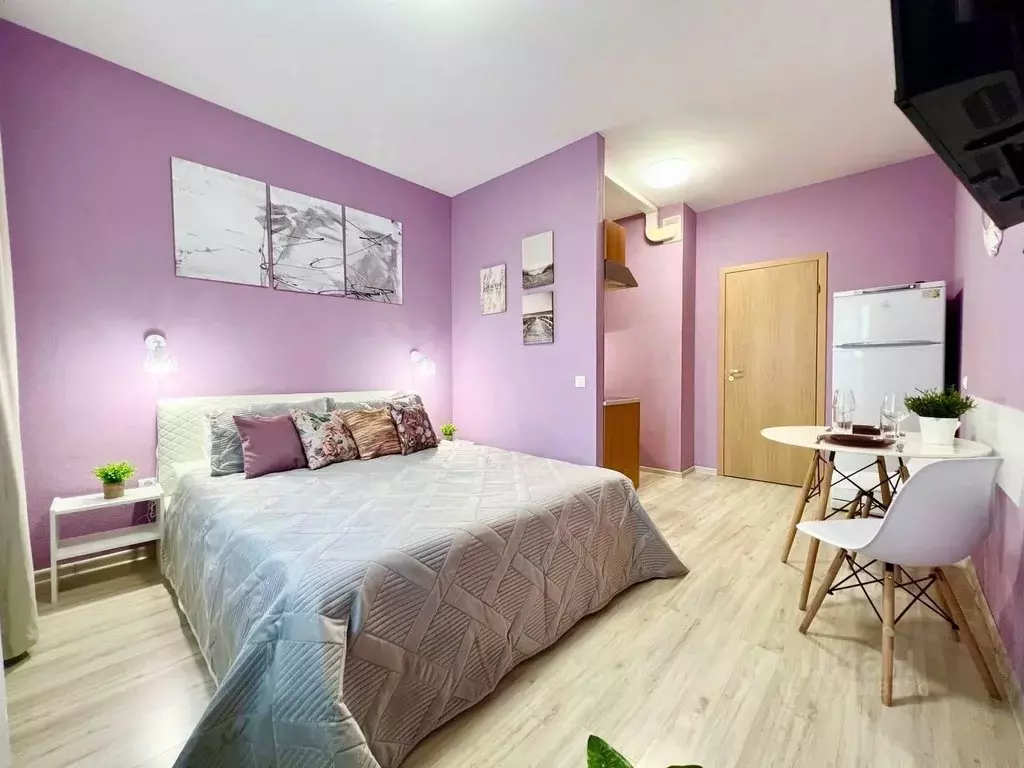 1-к кв. Санкт-Петербург Коломяжский просп., 15к2 (25.0 м) - Фото 1