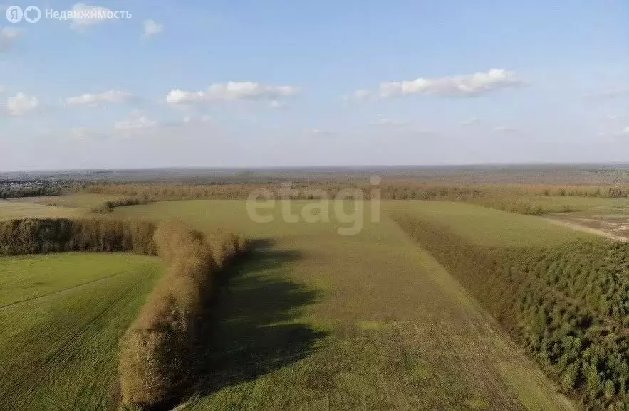 Участок в Тюменский муниципальный округ, село Кулига (7.2 м) - Фото 2