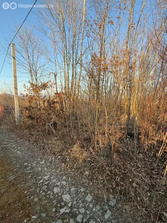 Участок в Надеждинский район, посёлок Соловей-Ключ (10 м) - Фото 1