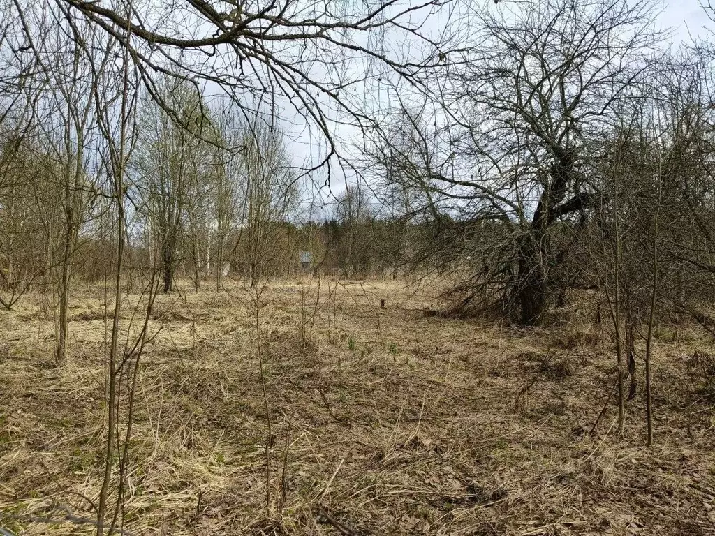 Участок в Московская область, Талдомский городской округ, д. Крияново  ... - Фото 1