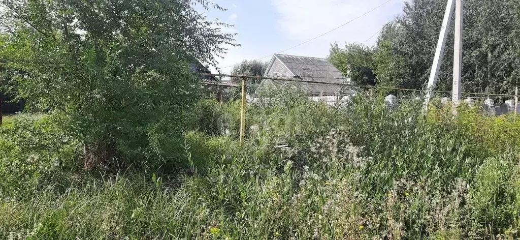 Участок в Воронежская область, с. Новая Усмань ул. Набережная (12.0 ... - Фото 1