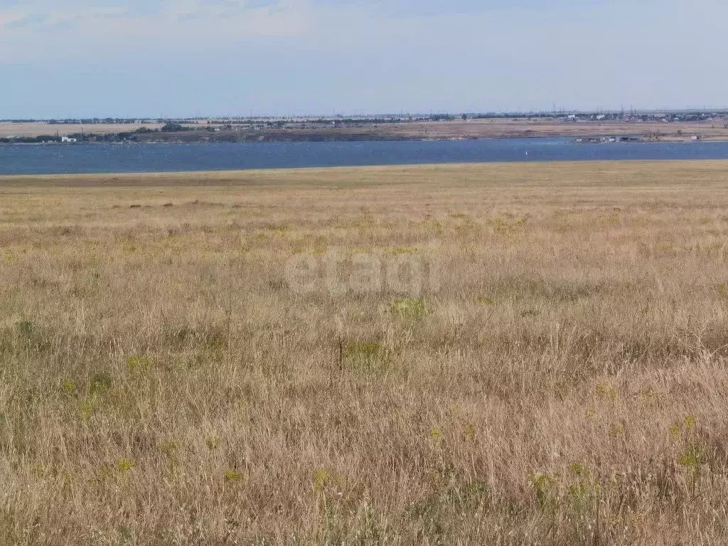 Участок в Крым, Черноморский район, Медведевское с/пос, с. Медведево  ... - Фото 0