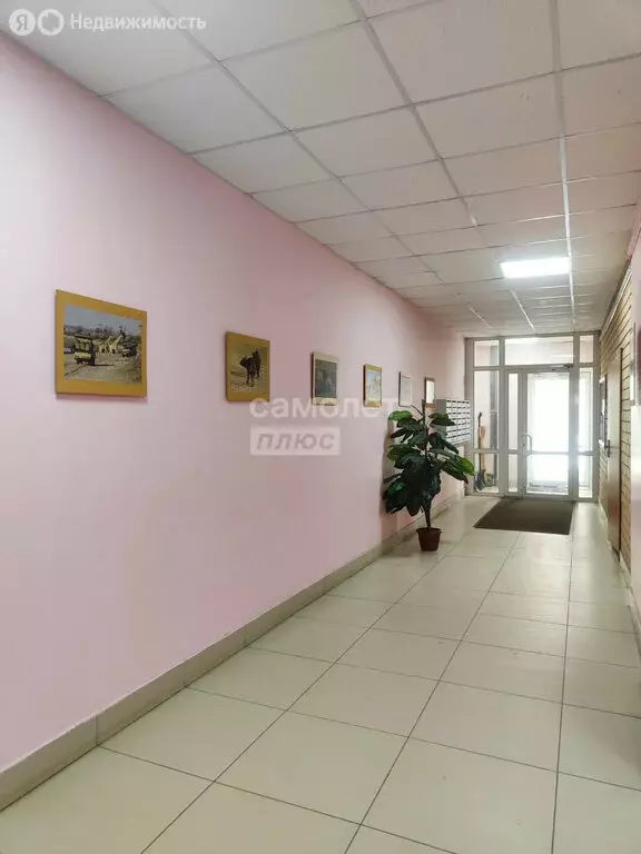 3-комнатная квартира: Челябинск, Комсомольский проспект, 64 (80 м) - Фото 2