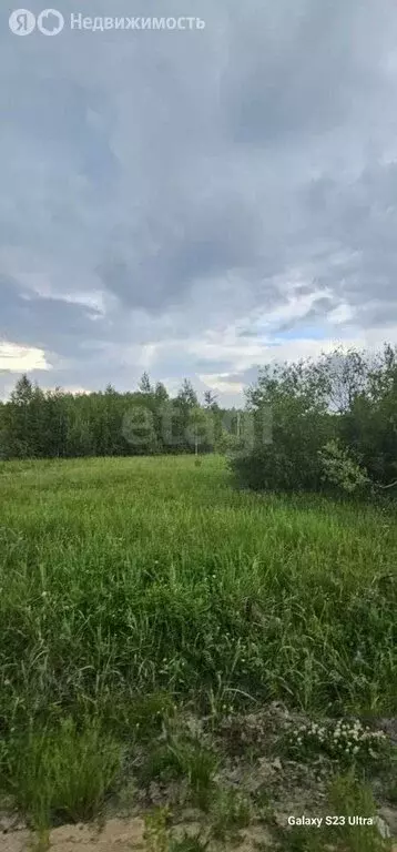Участок в Нижнетавдинский район, поселок Лесозаводский, Лесная улица ... - Фото 1