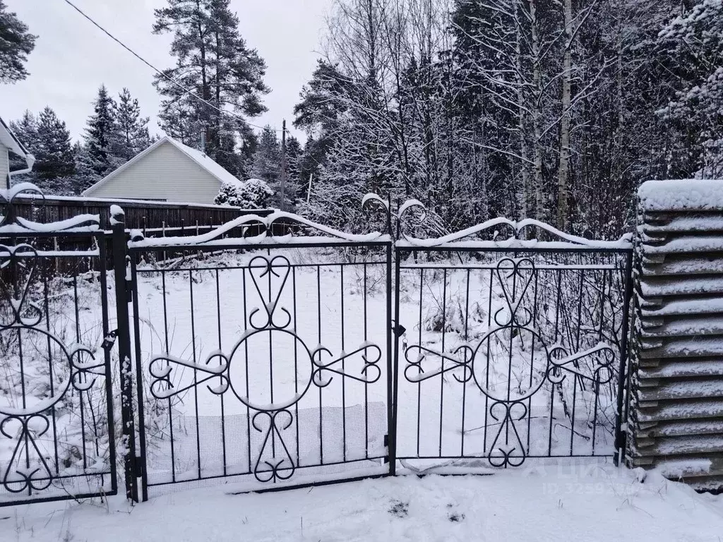 Участок в Ленинградская область, Всеволожский район, Агалатовское ... - Фото 2
