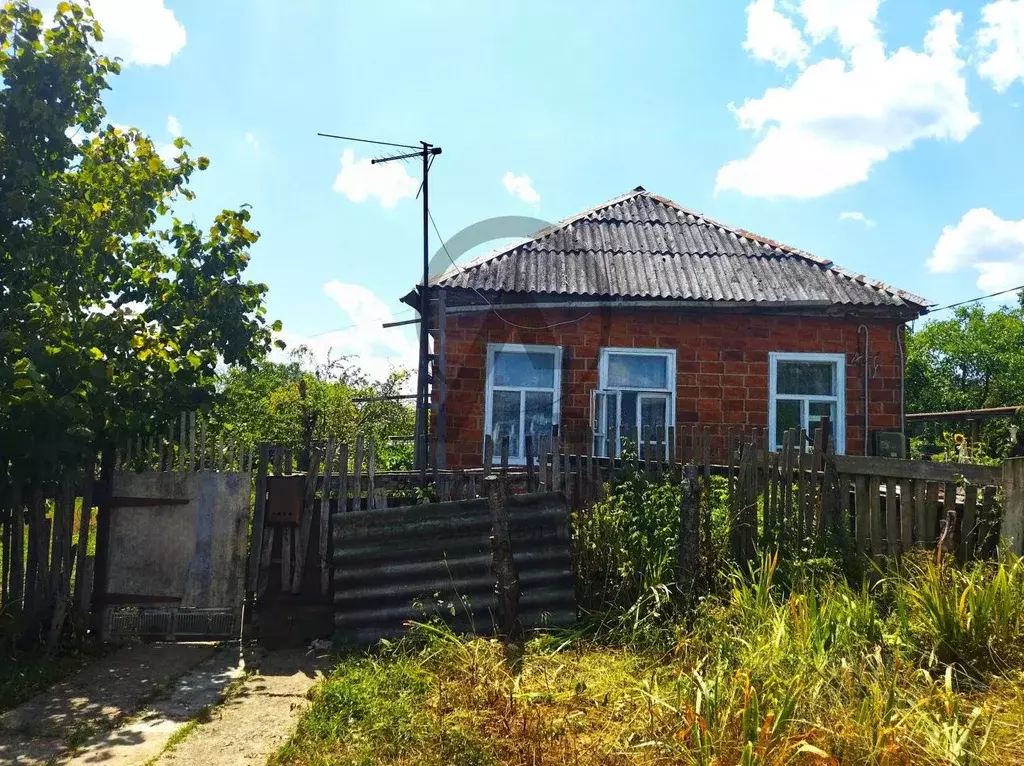 Дом в Краснодарский край, Апшеронск ул. Островского (33 м) - Фото 1