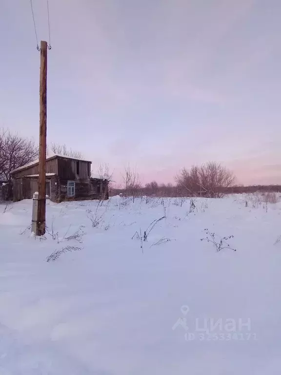 Участок в Алтайский край, Советский район, с. Шульгин Лог  (17.0 сот.) - Фото 1