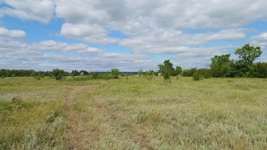 Участок в Саратовская область, Воскресенский район, Елшанское ... - Фото 2