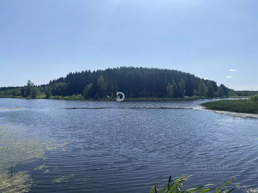 Участок в Ярославская область, Ярославский муниципальный округ, с. ... - Фото 1