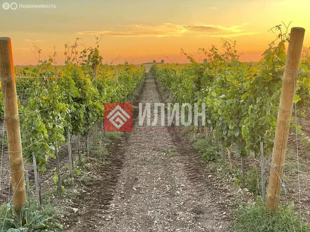 Участок в Бахчисарайский район, село Ароматное (1500 м) - Фото 2