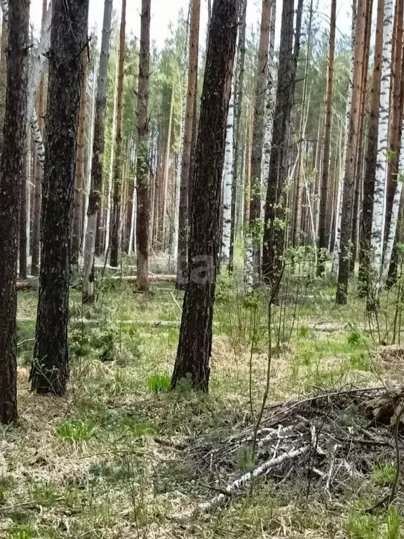 Участок в Свердловская область, Ревда муниципальный округ, с. Кунгурка ... - Фото 0