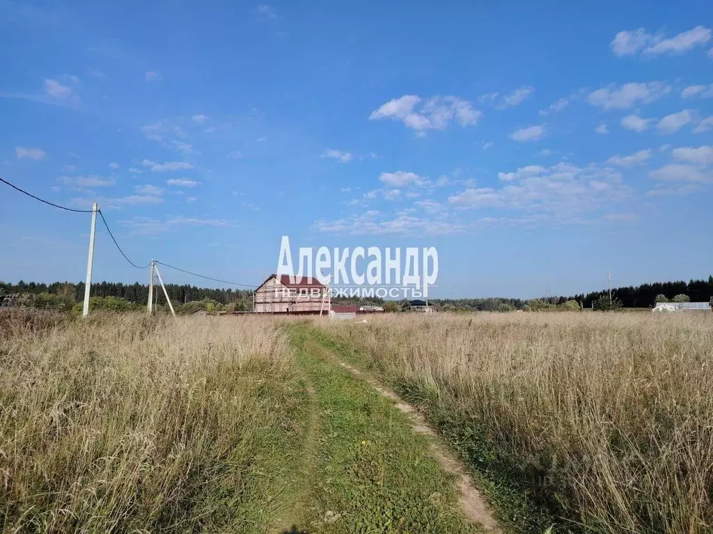 Участок в Ленинградская область, Гатчинский район, д. Жабино Северная ... - Фото 1