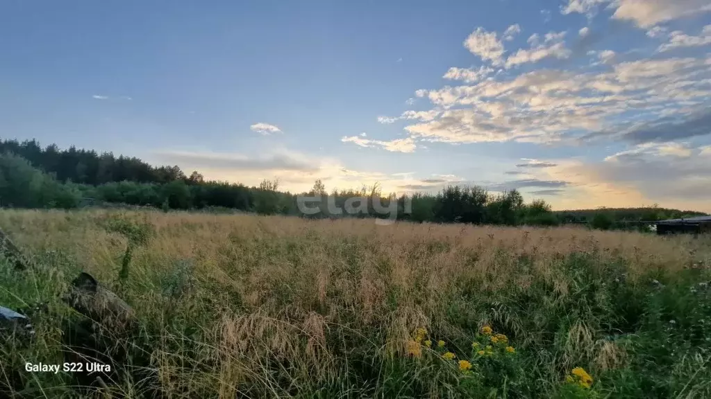 Участок в Свердловская область, Горноуральский пгт ул. Павловская ... - Фото 1