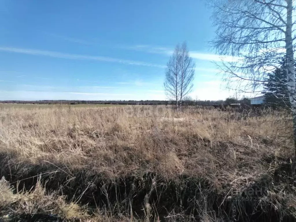 Участок в Владимирская область, Меленковский муниципальный округ, д. ... - Фото 1