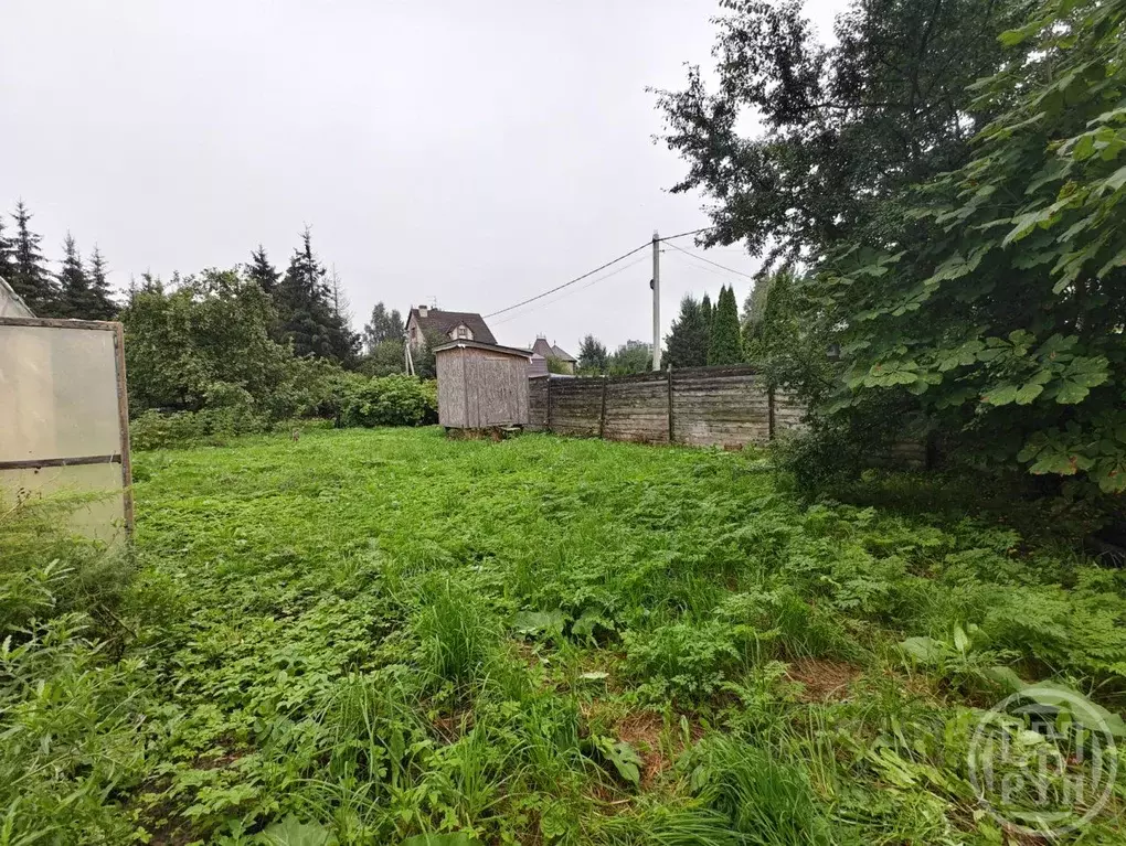 Участок в Ленинградская область, Ломоносовский район, Аннинское ... - Фото 2