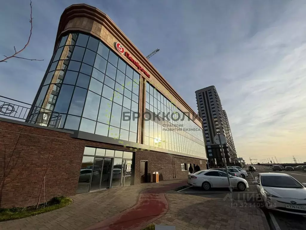 Помещение свободного назначения в Ростовская область, Ростов-на-Дону ... - Фото 1