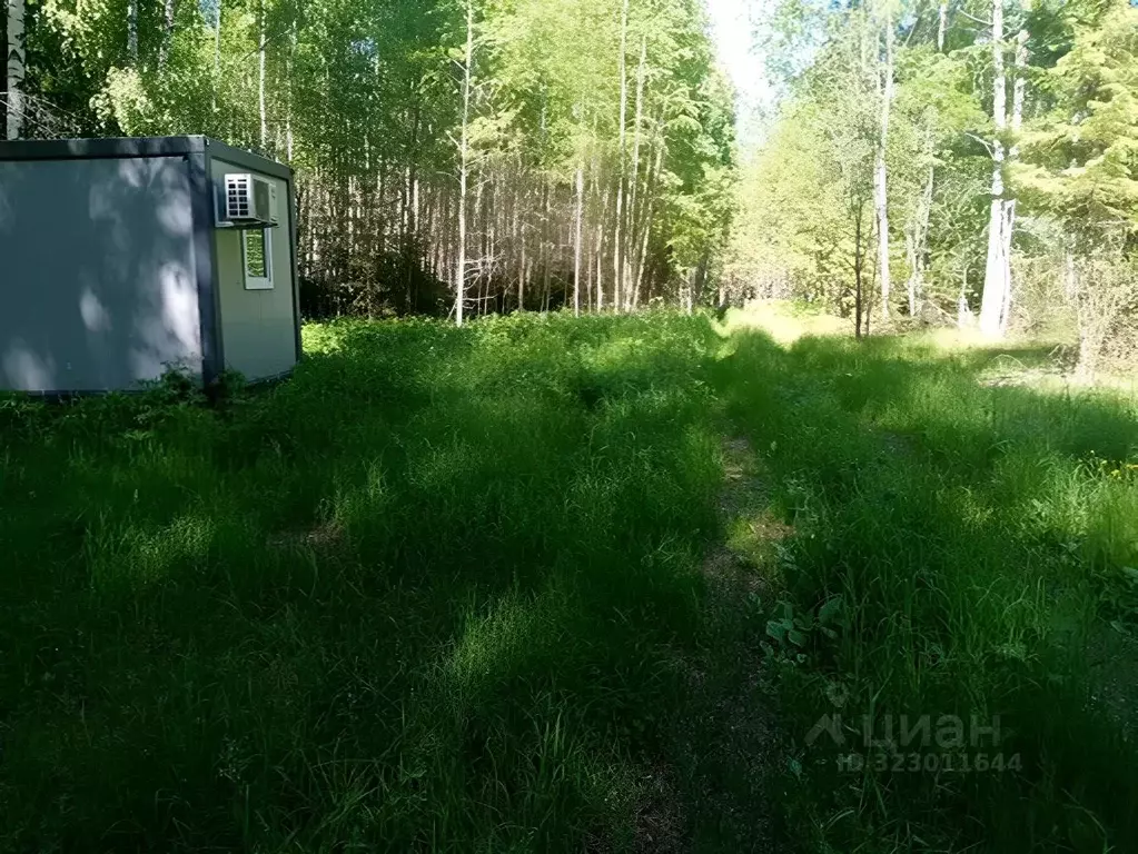Участок в Нижегородская область, Сокольский муниципальный округ, с. ... - Фото 1