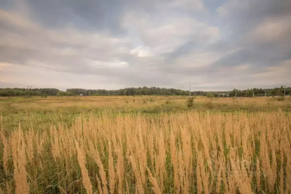 Участок в Московская область, Ступино городской округ, д. Калянино  ... - Фото 1